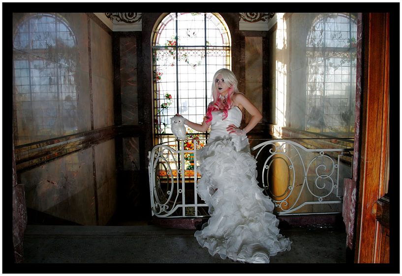 Bride and Owl by Paul Schrandt