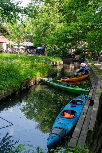 Tourisme dans le Brandebourg : paysage avec des cours d'eau, des maisons, des péniches, des kayaks et une zone boisée dans la région de la Spreewald, à Lübbenau et Lehde, dans le Brandebourg, sur Animaflora PicsStock