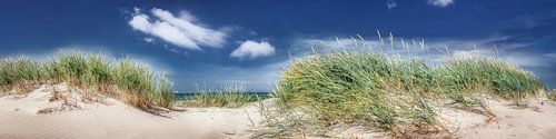 Panoramisch duinzicht op het strand en de Oostzee op een warme zomerdag.