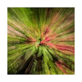 Zoom blur photography von Mirna!  Fotografie