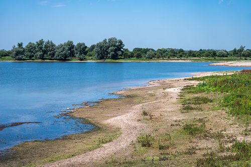 Sandy beaches on the river Waal