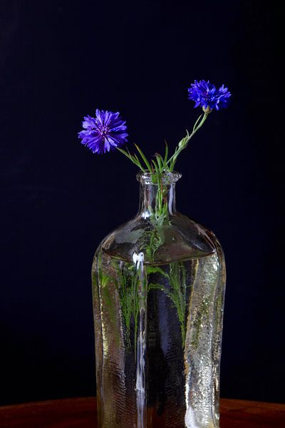 Still life with cornflower by Thomas Jäger