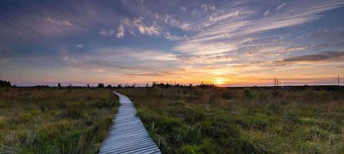 Zonsondergang vlonder pad Hogevenen Ardennen België!