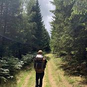 Brecht Strubbe Profile picture