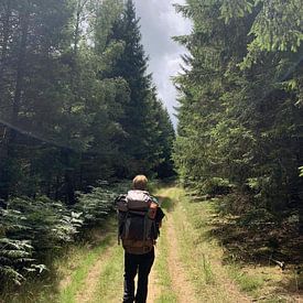 Brecht Strubbe profielfoto