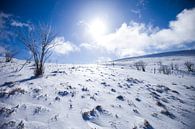Winter in de Vogezen in Frankrijk van Rosanne Langenberg thumbnail