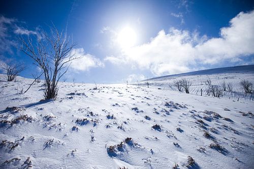 Winter in de Vogezen in Frankrijk