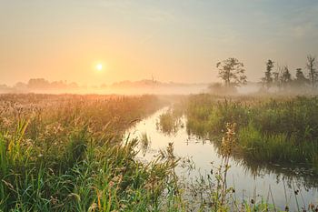 Zon boven meanderend diep