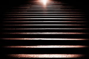 The light