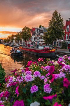 Leiden - Boat on the Silent Rhine seen from crow bridge (0035) by Reezyard