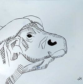 Water buffalo by Melle G