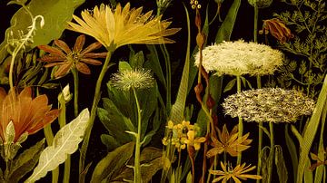 Klassische Blumenkomposition