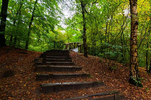 natuur trap van Hartsema fotografie