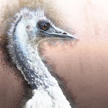 Suprised looking emu sur Art by Jeronimo