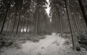 Großer Feldberg