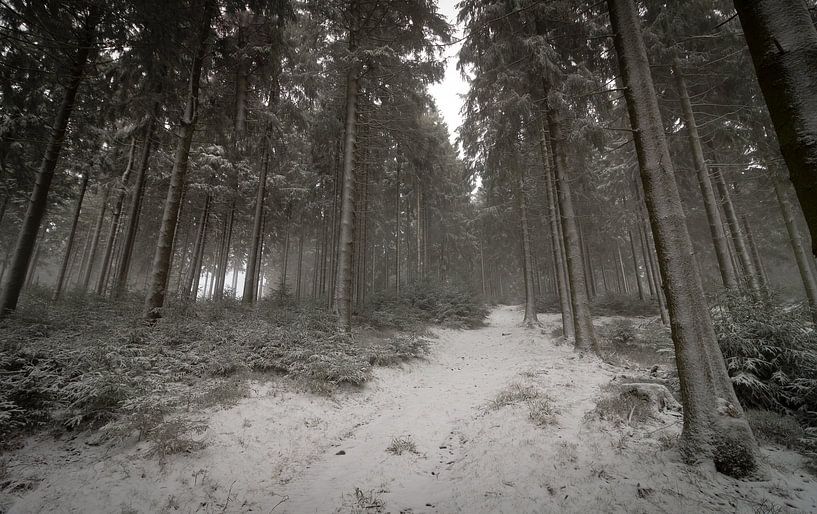 Great Feldberg by Freedom Streaming Photography