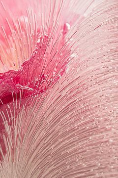 Photographie abstraite : les lignes dessinent l'itinéraire sur Marjolijn van den Berg