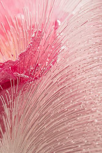 Abstracte fotografie: De lijnen tekenen de route van Marjolijn van den Berg