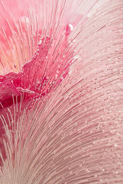 Photographie abstraite : les lignes dessinent l'itinéraire par Marjolijn van den Berg