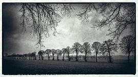 une sombre journée d'automne