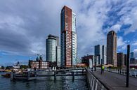 Skyline Rotterdam van Peter Dane thumbnail
