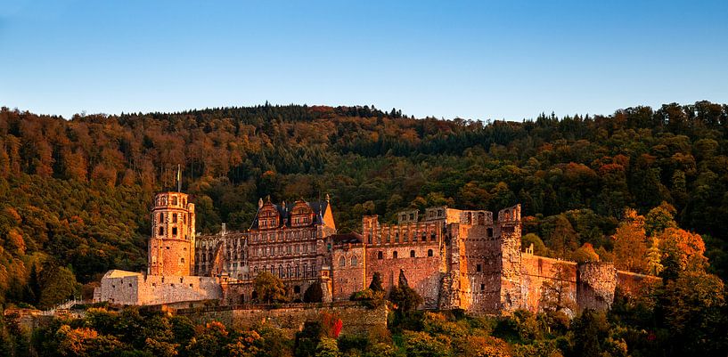 Château de Heidelberg, Allemagne par Adelheid Smitt