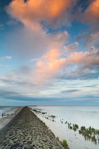 Strekdammetje bij avondlicht
