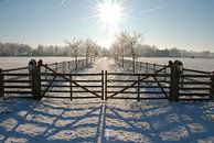 Winter op de Veluwe. van Fred Fiets thumbnail