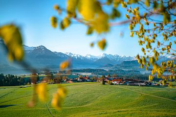 Spring view of the Upper Allgäu by Leo Schindzielorz