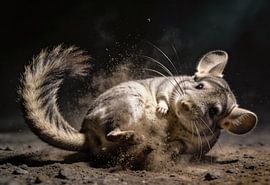 Chinchilla Dust Bath Action Portrait by Matthias Hauser