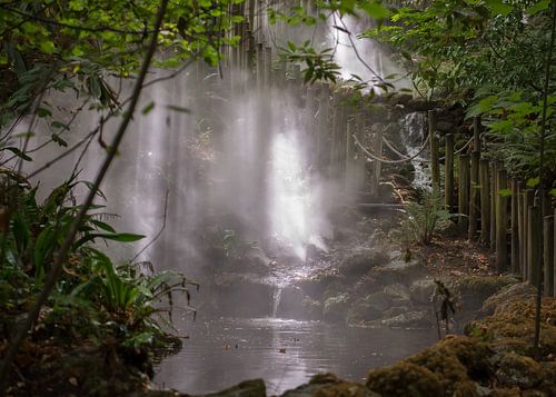 Les jardins du Chateau de Chaumont sur Loire