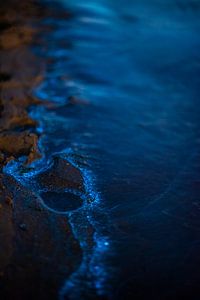 das funkelnde Meer