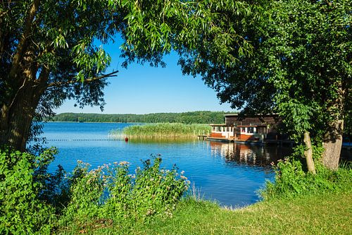 Landschaft am Kleinen Pälitzsee bei Pälitzhof