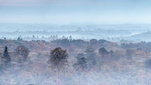 View over the Kaapse Bossen, Doorn