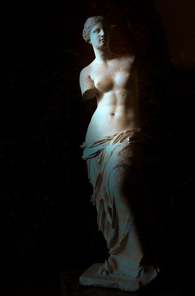 Venus de Milo van Jaco Verheul