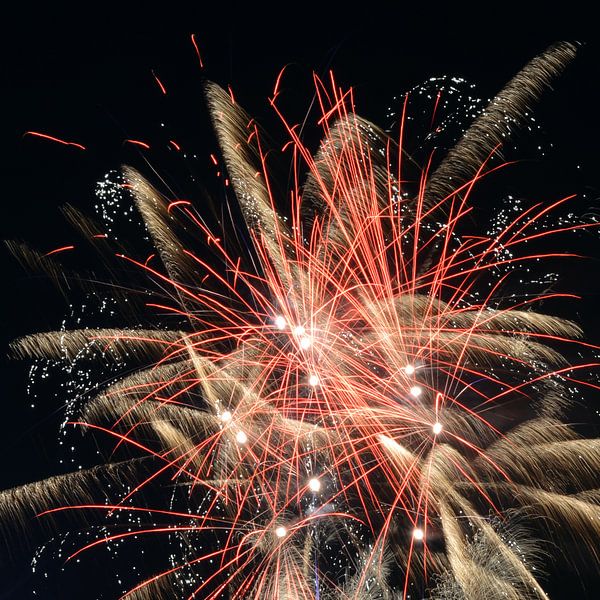 Fireworks by Alphapics