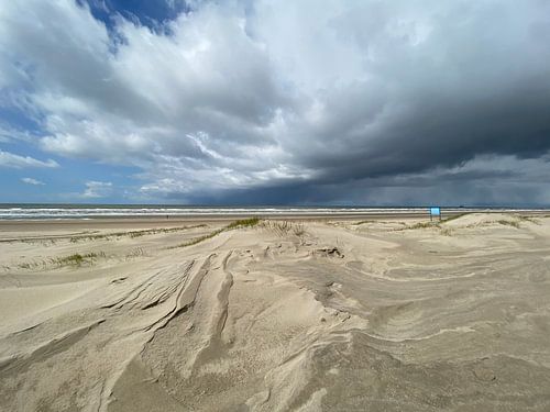 Beach Heemskerk
