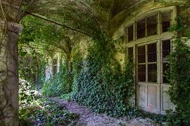 Nature takes back by Frans Nijland