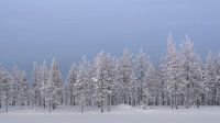 Finland