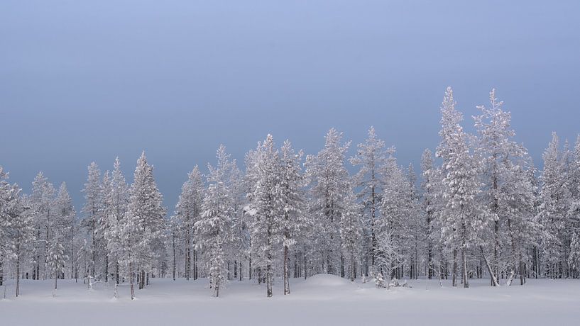Finland van David Lawalata