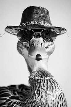Stijlvolle eend met hoed en zonnebril in zwart en wit van Felix Brönnimann