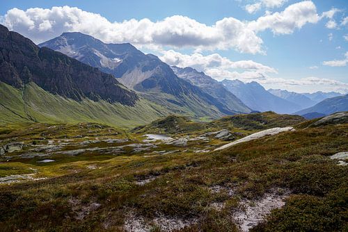 Zomers berglandschap in Zwitserland met groene alpenweiden en markante bergtoppen.