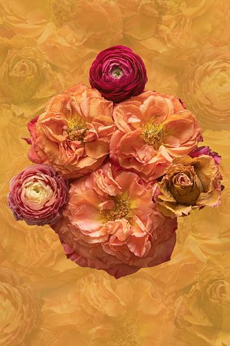 Perfectly Imperfect - Ein goldener Moment