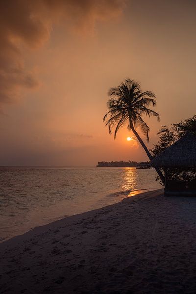 Maldives 6 par Andy Troy