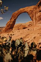 Arches-Nationalpark USA