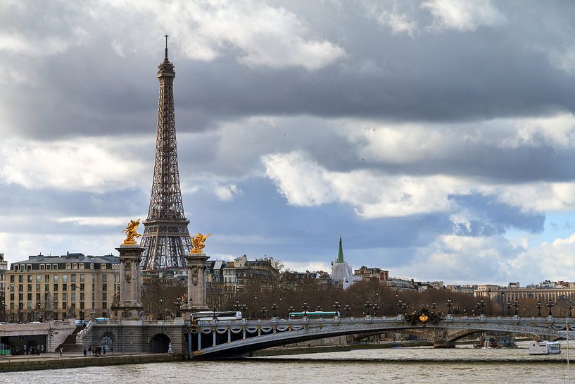 Eiffeltoren en de Alexandre III brug van Dennis van de Water