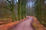 speeding the forest by Georges Hoeberechts thumbnail