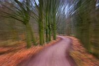 speeding the forest