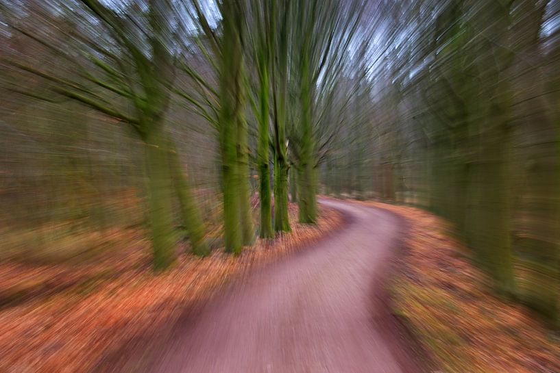 speeding the forest by Georges Hoeberechts