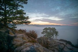 Sonnenaufgang auf dem Gamrig - Sächsische Schweiz (Elbsandsteingebirge) von t.ART